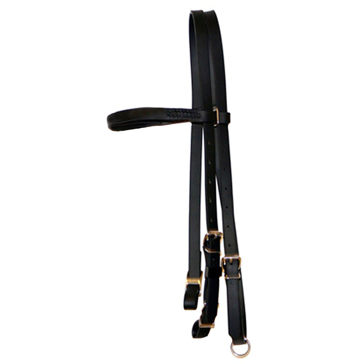 Biothane Halter Bridle
